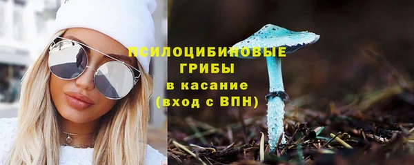 дживик Михайлов