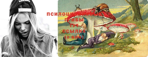 прущая мука Михайловск