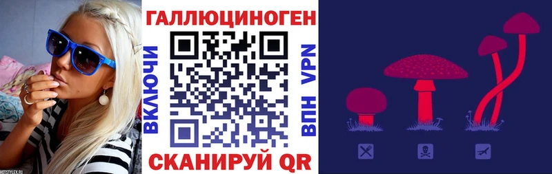 Галлюциногенные грибы MAGIC MUSHROOMS Купить Чишмы