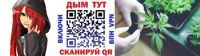 Купить закладки  Чишмы  Конопля конопля 